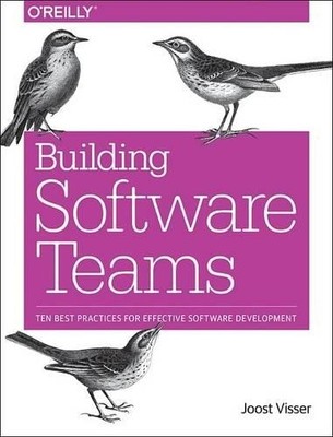 Zeeger Lubsen Sylvan Rigal Gijs Wijnholds Joost  Building Software (Taschenbuch)