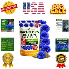 Bachelor Button Seeds Tall Blue - 6000 Cornflower, Stunning Blue Blooms for W...