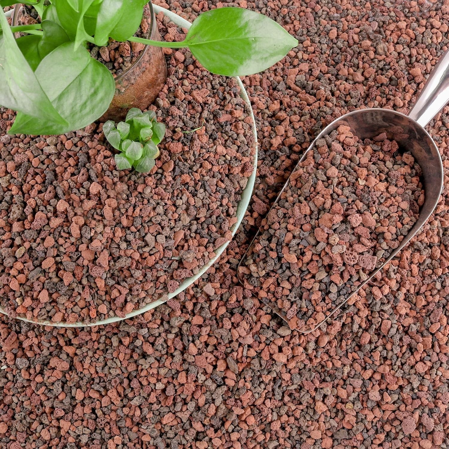 18lb Decorative Lava Rocks - Natural Plant Care & Soil Conditioner for Your Home