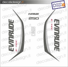 Adesivi motore marino fuoribordo Evinrude 250 cv G2 motore bianco-grigio barca