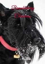 Brambleberry Christmas (Brambleberry Equestrian Romance Novella 