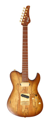 FGN E-Gitarre, Expert Iliad EW, Hojicha Burst, 6-String,  Koffer| Neu