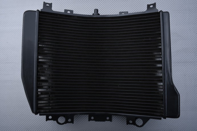Radiateur eau alu type origine Kawasaki ZZR 1200 finition premium ZXT20C