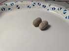 Dug Civil War era William  type 2 cleaner bullets  — photo 5