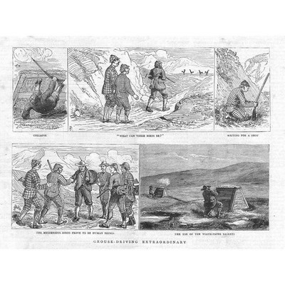 Auerhuhnschießen Auerhuhn fährt außergewöhnlich - antiker Druck 1883