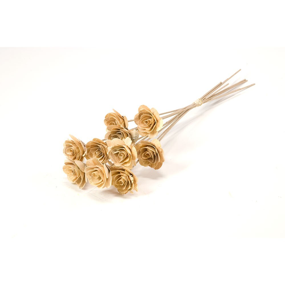 Dried Preserved Bunch Natural Mango Bark Woodrose 50cm/20 Inches