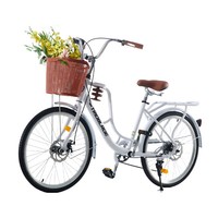 26 inch Wheels Adult City Bike Cycle Ladies Women Bicycle Vintage with Basket