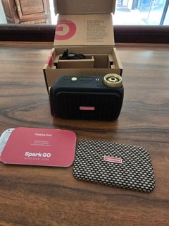 Positve Grid Spark Go