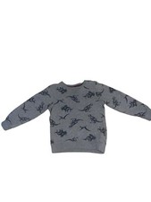 Carter's Big Boys' Fleece Lined Printed Pullover Top 5t