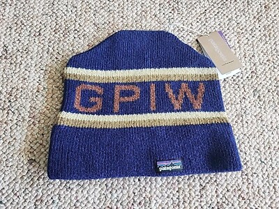 NWT New Patagonia Fun Hog Beanie Winter Hat GPIW Knit Blue