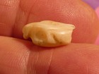 ANCIENT ASIAN MINOR WEST ASIA SCULPTED SHELL PENDANT BIRD BEAD 14.3-7.7-6.2 MM — photo 5