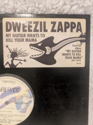Dweezil ZAPPA - My Guitar Wants to Kill Your Mama - 1988 PROMO 12'' Vinyl LP BFV 