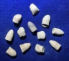 12 Original Fired/Dropped Civil War Bullets-Vicksburg, MS-Dug by Me! (1978-79)