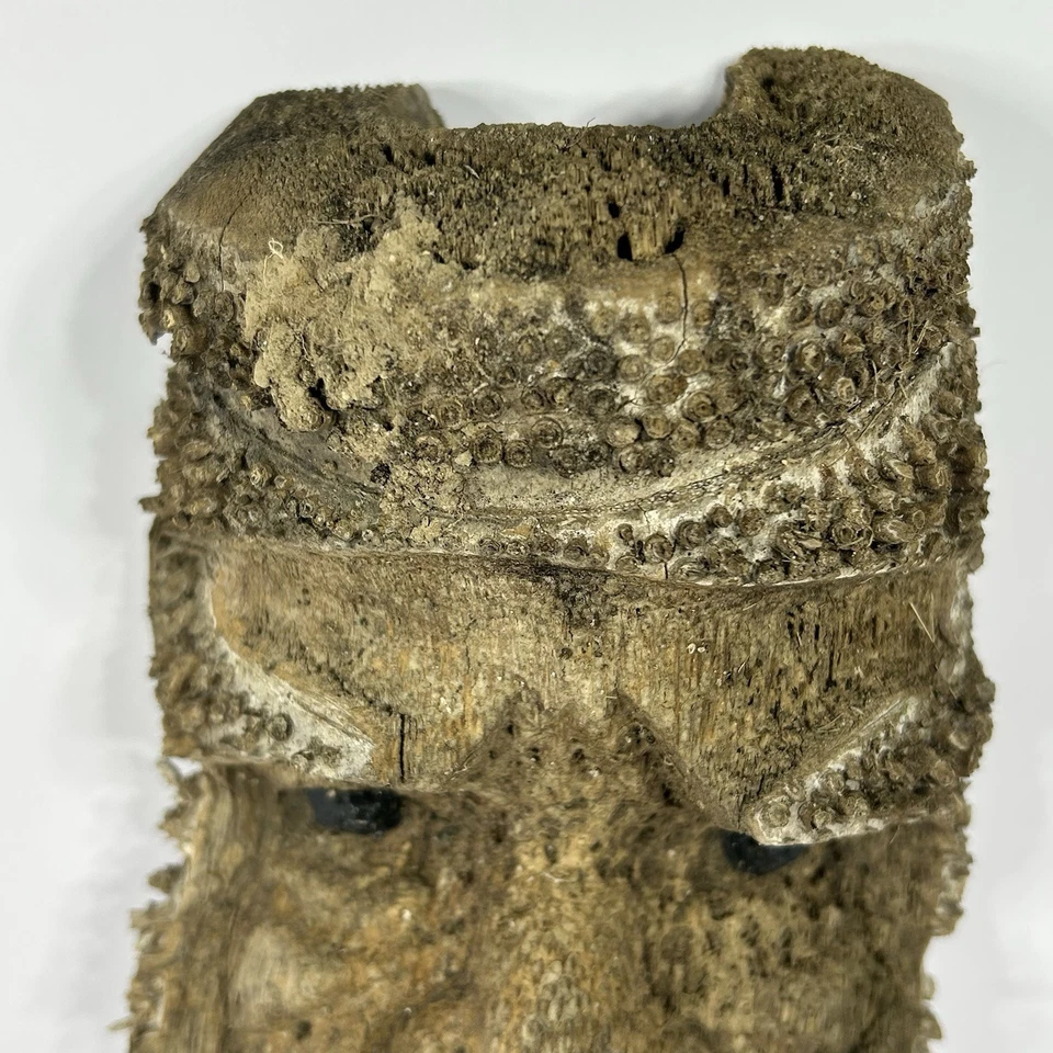 Root Face Mask Tree Spirit Tribal Art Hand Carved Tribal Face Wood Carving 20" - Image 4 of 4