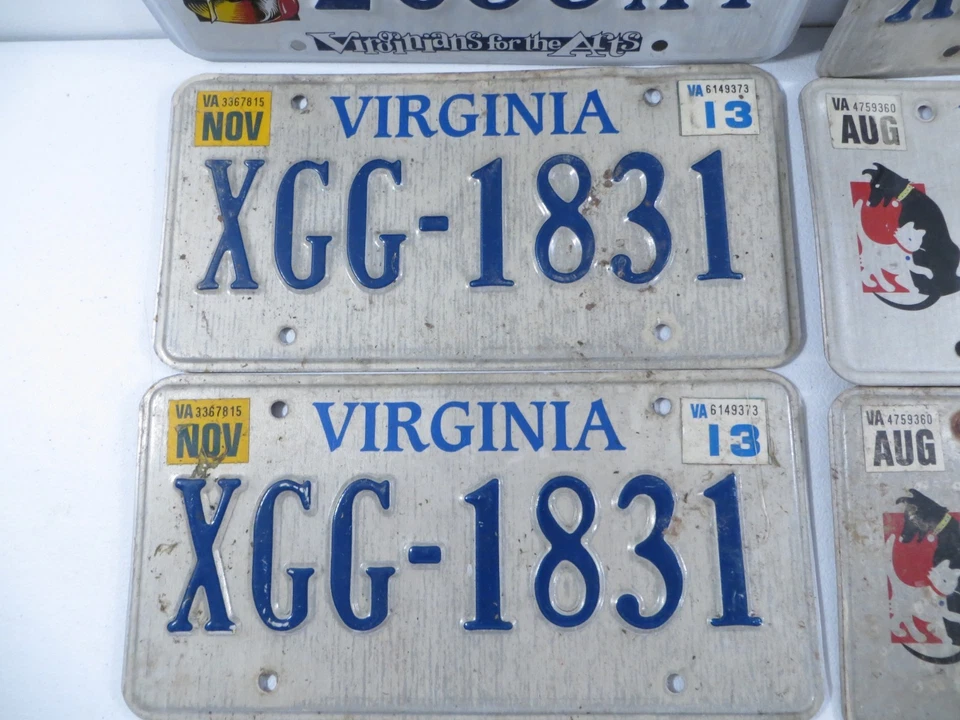 Лот из 13 пар персонализированных одиночных номерных знаков Virginia - Изображение 3 из 4