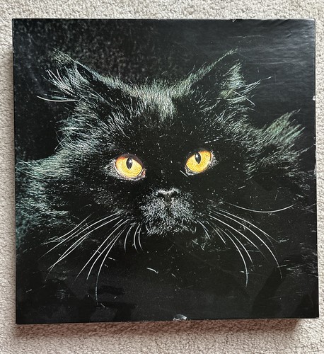 Vintage 1977 Springbok "Midnight Magic" Black Cat 500 Piece Jigsaw Puzzle