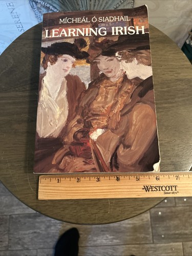 VERY GOOD Learning Irish NEW Edition Textbook Paperback Michael O Siadhail A6 - Imagen 12 de 15