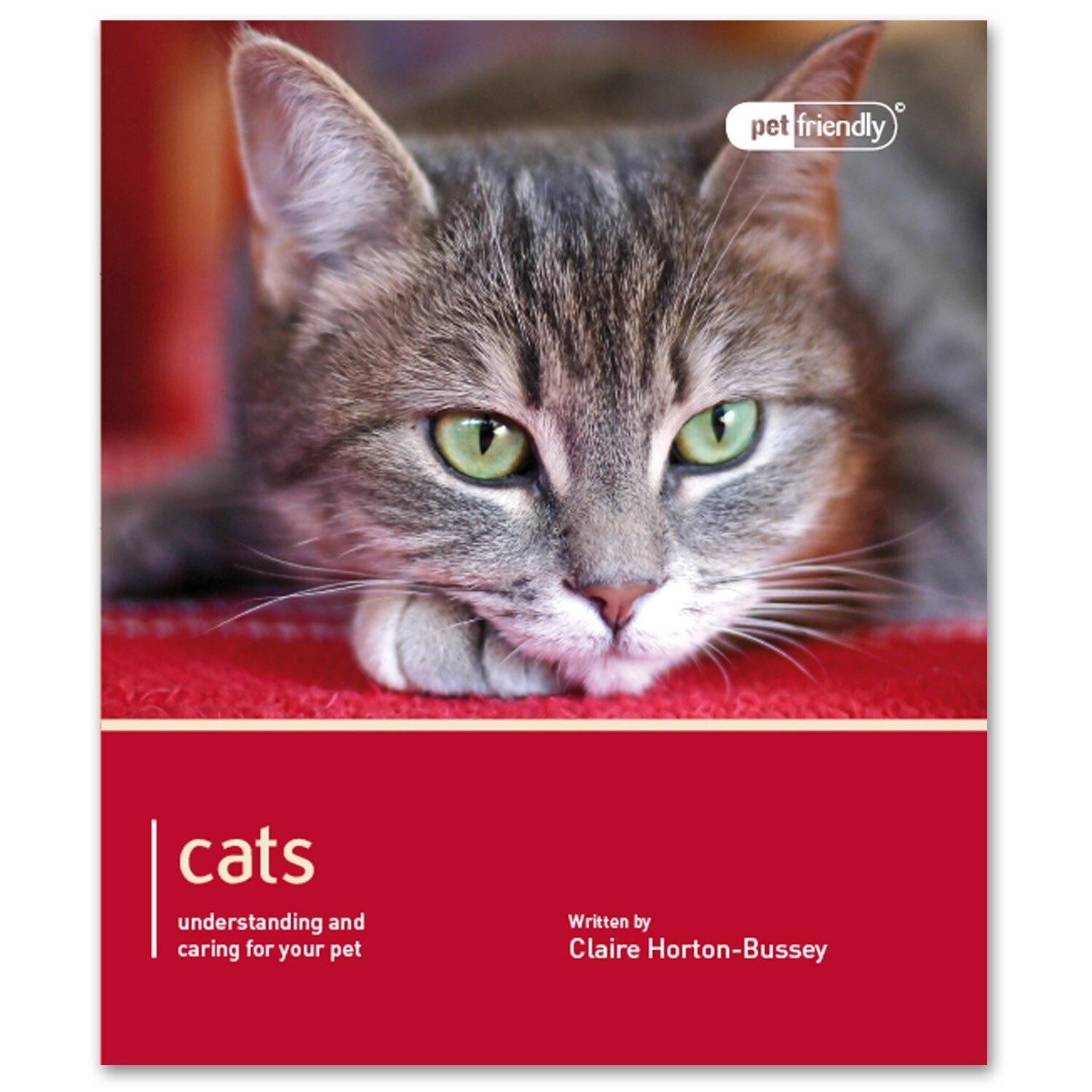 Cat - Pet Friendly