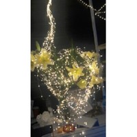 Led Lichterkette Silberdraht 75Er Warmweiß Batterie Timer AußEn 24574 Xmas
