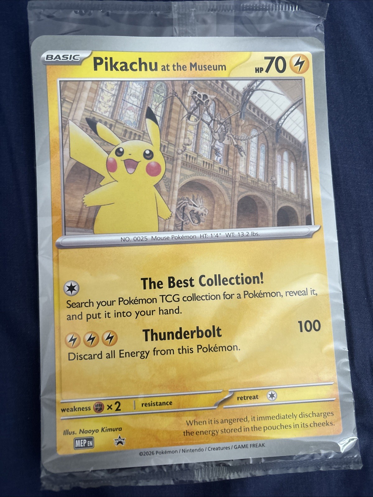 Pokémon TCG Pikachu At The Museum Pokemon Jumbo Card Promo