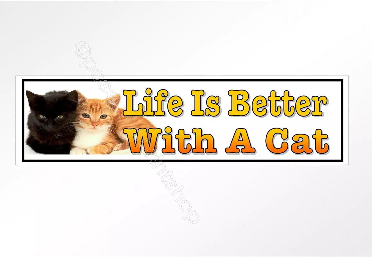 Cat Bumper Stickers, Pets