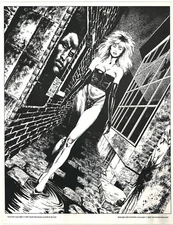 MIDNIGHT SILK Art Print 5 Mark Beachum & Rick Bryant art S. Q. Pub 1987