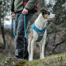 Kurgo Journey Air Dog Harness - 3 Colors, 5 Sizes, Comfortable & Adjustable