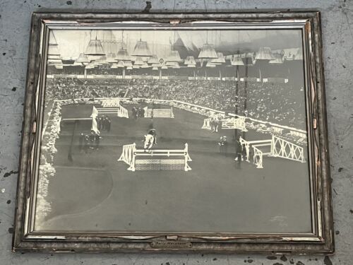 Vtg 1926 Olympus London International Horse Show Photograph Bally Mcshane 1920’s - Picture 1 of 11