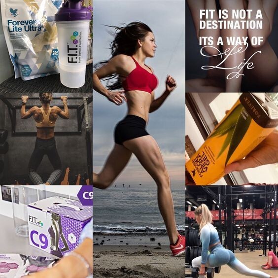 F15 Forever Living Weight Loss Management Program Aloe Vera F15 Forever Living Weight Loss Management Program Aloe Vera