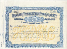Hannan's 'Golden Pike' Gold Mine Ltd., handwritten dated 1898, nice SPECIMEN, VF