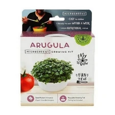Arugula Microgreen Kit  1 Count By Handy Pantry