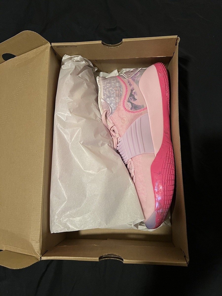 Nike Zoom KD 12 Aunt Pearl Pink 2019 Durant Size 15