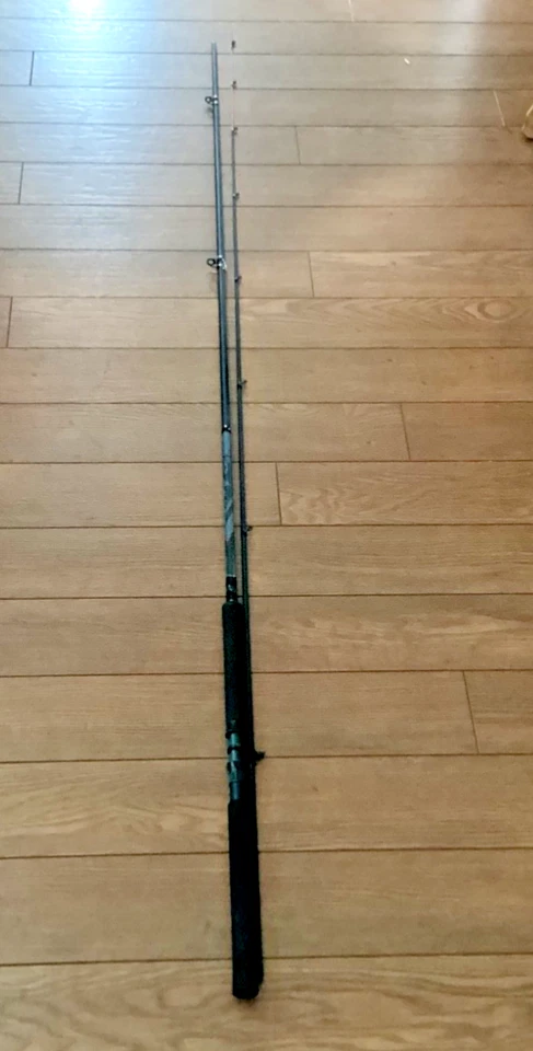 NUEVO Shakespeare “CRAPPIE HUNTER” 2 piezas varilla giratoria 12 pies luz (4-10) Foto 4 de 4