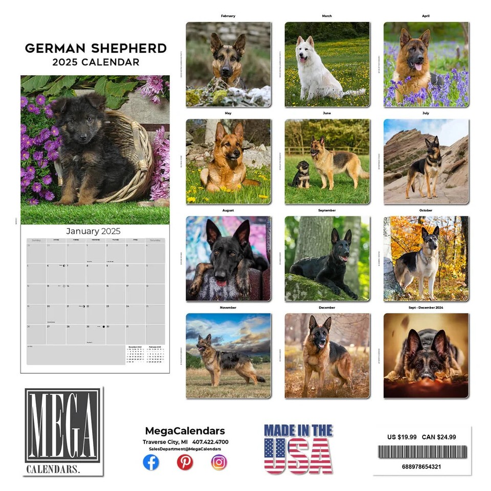 german-shepherd-wall-calendar-2025-animal-dog-pet-lover-gift-ebay