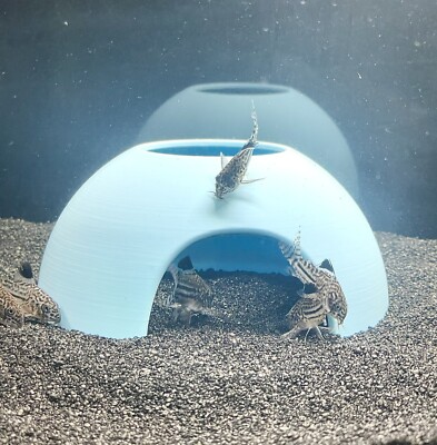 Aquarium Cave Hideout Dome Decoration Kuhli Loach Corydoras Catfish Clown Loach