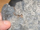 Bild 4 von 10