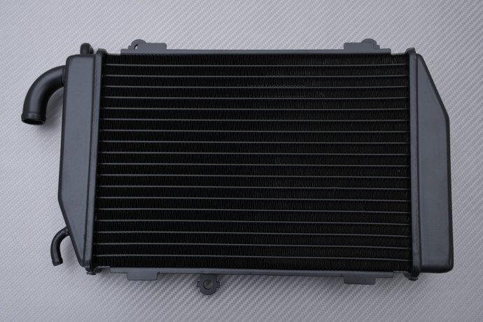 Radiateur eau gauche GL 1800 évite la surchauffe Goldwing 2006-2016