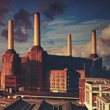 11x11 PINK FLOYD Animals Album cover POSTER Classic music wall art