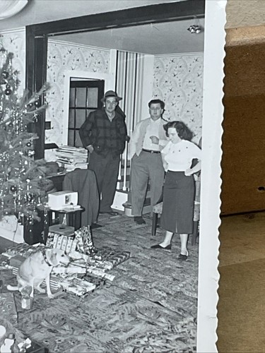 50er Jahre Fotos von Weihnachten Morgen Baum Geschenke Katze Wohnzimmer B47 - Bild 11 von 17