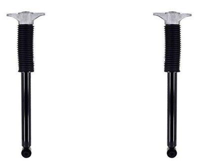 Rear Complete Shocks With Shocks Mounts Fits Tesla 3 2017-2021 & Y 2020-2023
