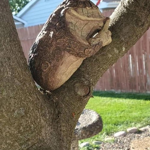 Tranquilo Rana Árbol Mirador Caras de Árbol Decoración Jardín Patio Árbol Esculturas Abrazador de Árbol - Imagen 5 de 10