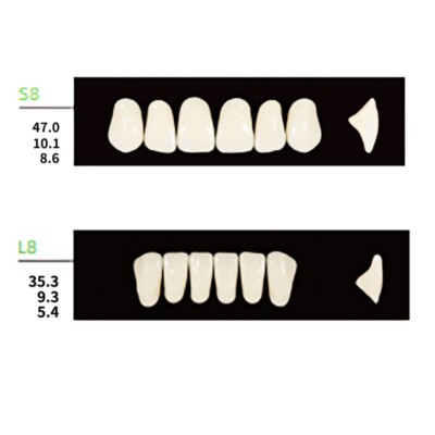 112PCS/Pack Dental Synthetic Polymer Resin False Teeth Denture S8 L8 34 Shade B4