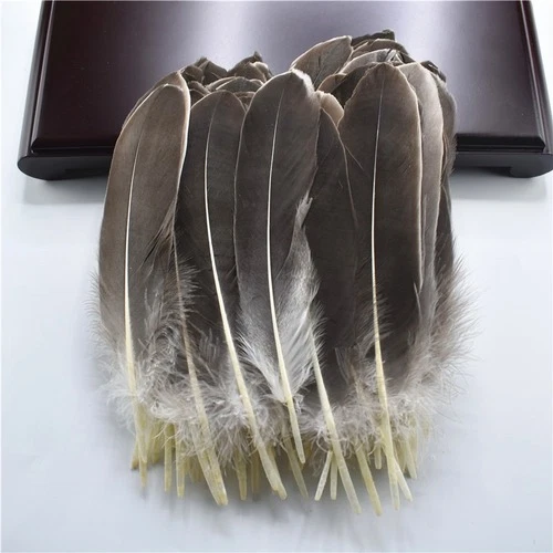 Wholesale Hard Pole Natural Goose Feathers Crafts Plumes 5-7inch/13-18cm Feather - Image 3 of 4