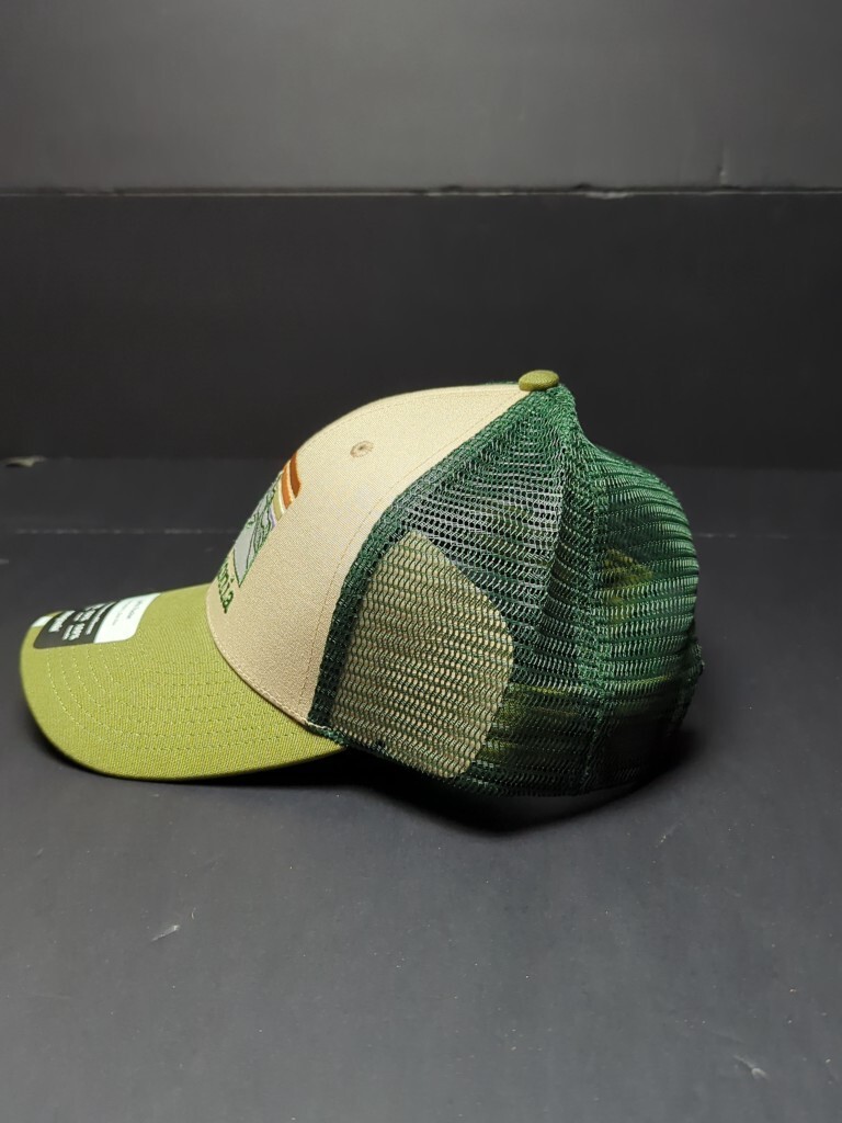 Patagonia Line Logo Ridge Trucker Hat Low Crown 38285 Ortn FA22 