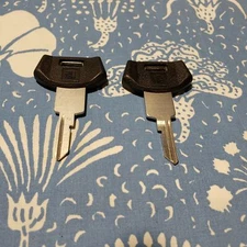 2 Briggs Stratton Primary Key Blank 593746 Plastic Head Pontiac Grand Prix 88-90