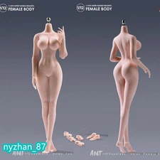 US 1:12 Pale Large Bust Plump Hip Seamless Body For 6" Female Action Figure Doll