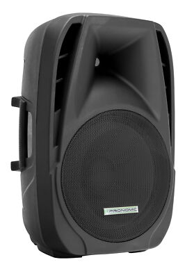 Klasse DJ PA Lautsprecher mit 350 Watt Power und robustem Plastik Gehäuse NEU