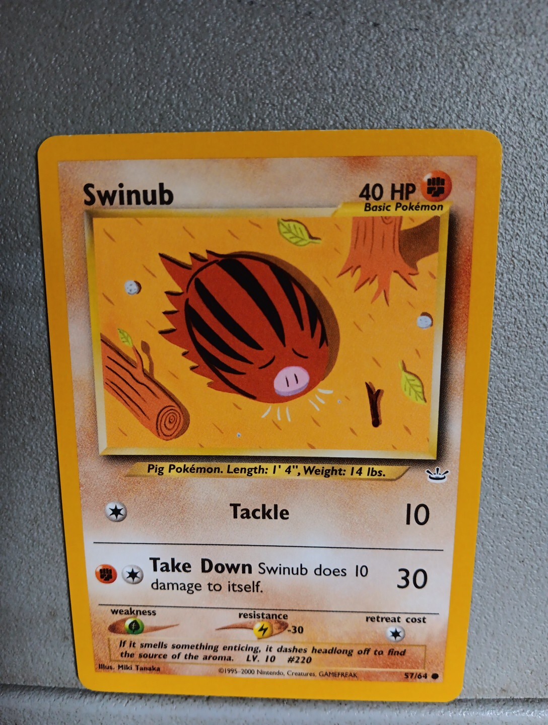 Pokémon TCG Swinub Neo Revelation 57/64 Regular Unlimited Common