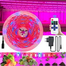 5050 Grow Light 5M 12V 4 Red 1 Blue for Greenhouse Hydroponic Plant LED Strip