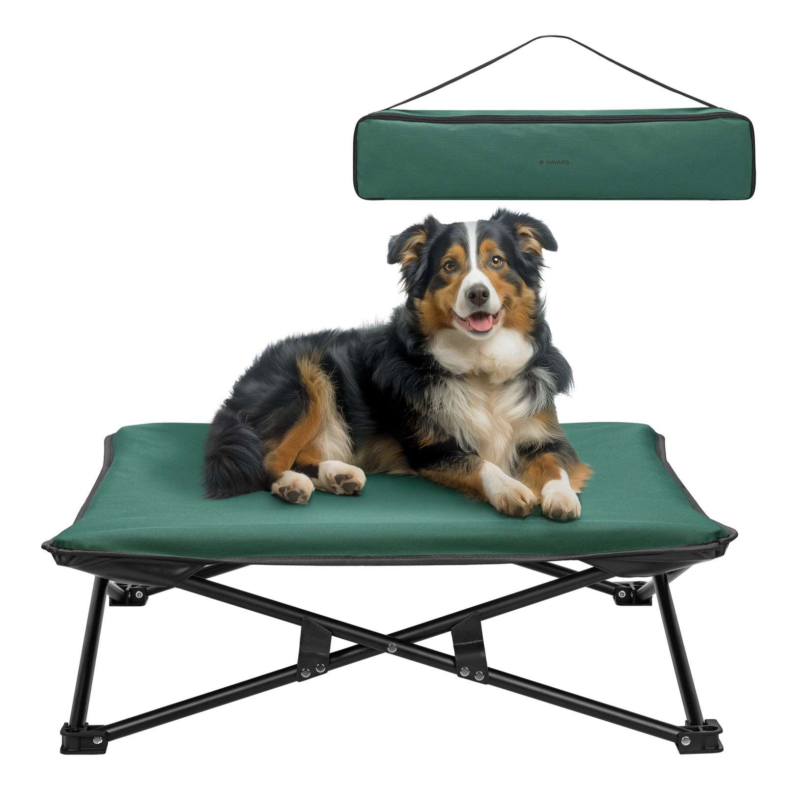 Cama Elevada para Perros - Cama de Verano Impermeable Plegable de Camping